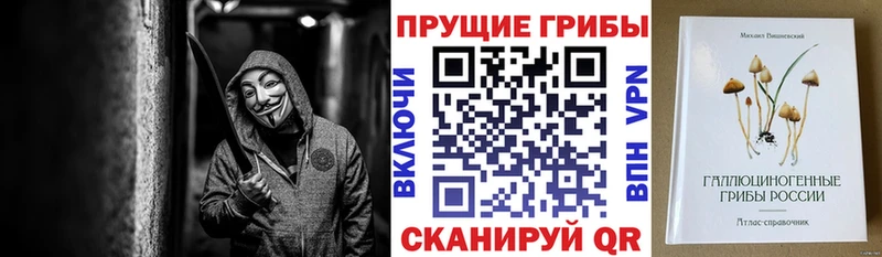 Галлюциногенные грибы MAGIC MUSHROOMS  Купить закладки  Лебедянь 