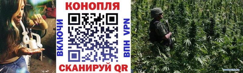 Купить Лебедянь Каннабис семена